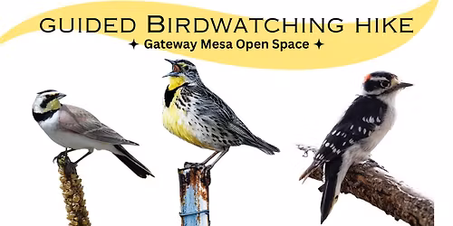 Basics of Birdwatching - guided hike