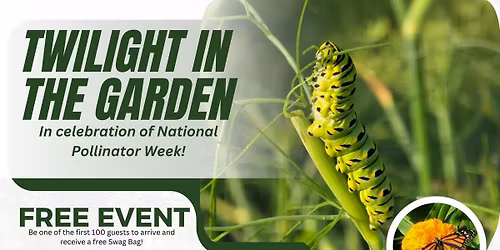 Twilight in the Garden