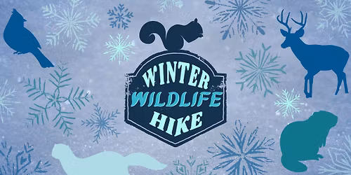 Winter Wildlife Hike