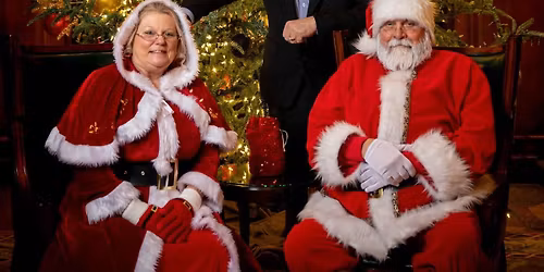 Holiday Portraits in Front of the Tree - Benefitting United Way of Virginia's Blue Ridge