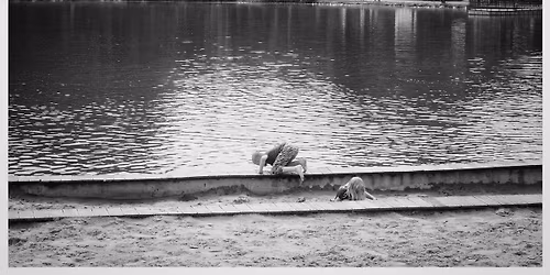 Foto- Remini- scencje pewnego letniego dnia