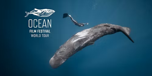 Ocean Film Festival - Norwich - 22 November 2025