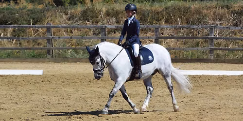 Area 12 Spring Festival Dressage Qualifiers 2026\/27