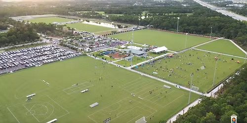 Parking The Garden Cup