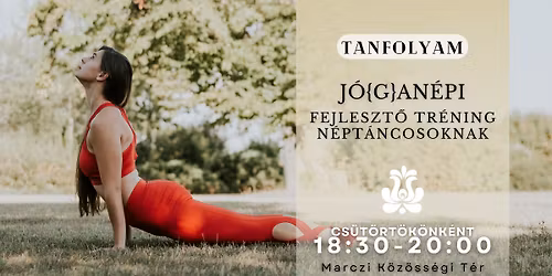 INT ~ J\u00f3{g}an\u00e9pi ~ Fejleszt\u0151 tr\u00e9ning n\u00e9pt\u00e1ncosoknak