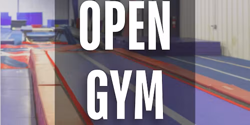 Friday Open Gym