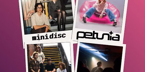 Petunia | Mini Disk | Dahlia | Porclares