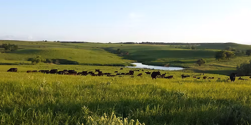 DRI\/KCC "Built for the Long Haul" Private Treaty Sale