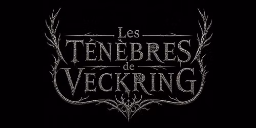 les t\u00e9n\u00e8bres de Veckring