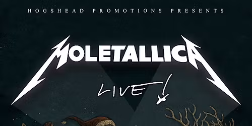 Moletallica | Xmas at The Sal 
