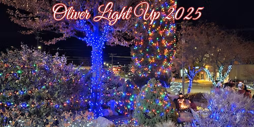 Oliver Light Up 2025