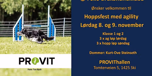 Hoppfest med Agility