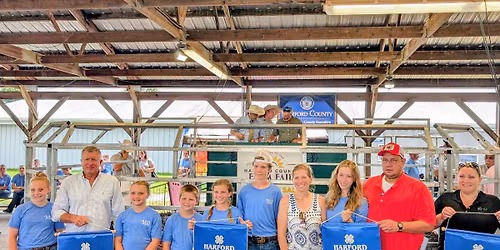 Beef & Dairy Steer- Tagging & Weigh In- MANDATORY