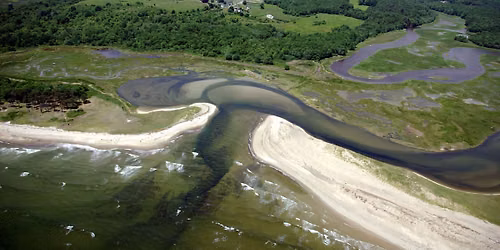 Secrets of the Salt Marsh