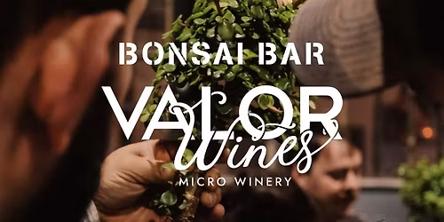 Bonsai Bar Class - Valor Wines