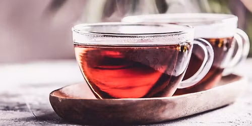 LiveWell Nature Exploration: Foraging for Tea