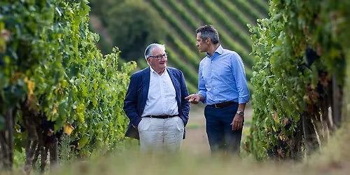 Le Marche del vino, mare e monti