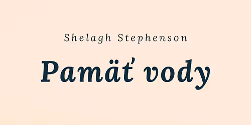 Pam\u00e4\u0165 vody - Bratislava