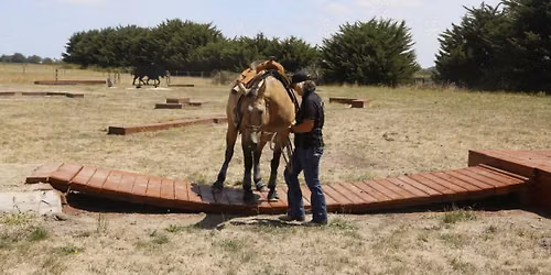 Horsemanship Clinic with Tracey