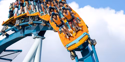 Parking Magic and Mayhem - Fort Lauderdale