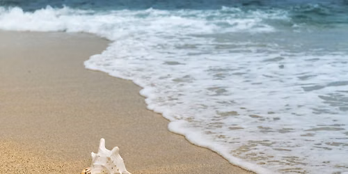 Summer\u2019s Softening: A Yin & Sound Healing Immersion