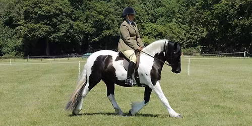 Tricklebank Spring Horse Show