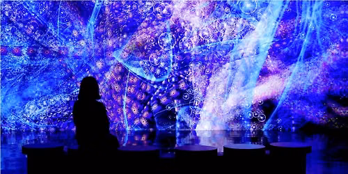 Digital Abyss | Illuminate Adelaide
