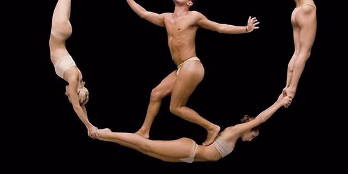 NoGravity Theatre - Divine Comedy Reloaded at Kravis Center - Dreyfoos Hall