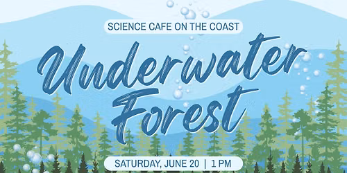 Underwater Forest
