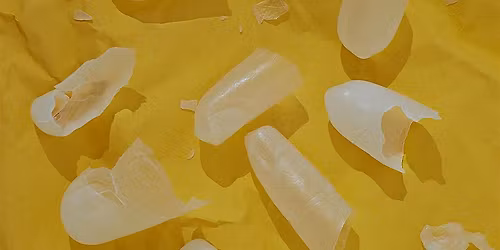 What Language Do You Dream in? A Workshop on Words and Heritage