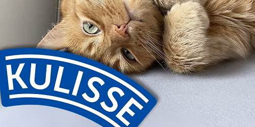 Die Katze im Sack - Kabarettistischer \u00dcberraschungsabend