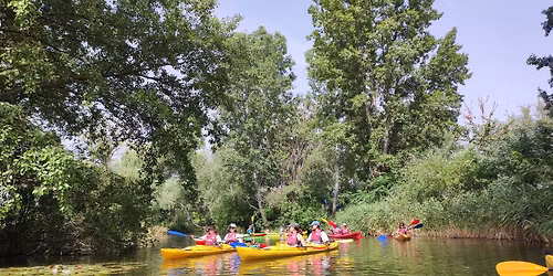Dunaharaszti mesebeli sziget rendszere d\u00e9lel\u00f6tt