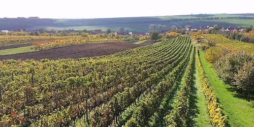 Kr\u00e1sn\u00e1 v\u00edna z Kr\u00e1sn\u00e9 hory