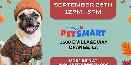 Petsmart Orange Dog Adoption Event 