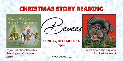 Bevees Christmas Story Reading