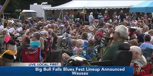 Big Bull Falls Blues Fest - 2 Day Pass