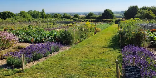 Vegetable Plot Planning Masterclass