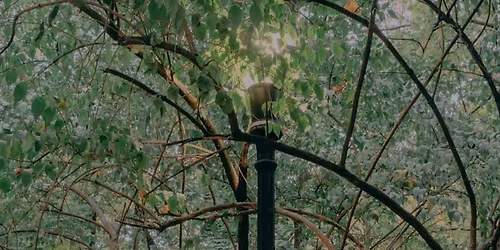 WHEATUS: 25th Anniversary Tour + Thomas Nicholas Band \/\/ Boiler Shop