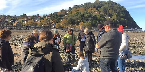 Surveying the Somerset seashore