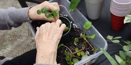 \ud83c\udf31Bloom Again \ud83e\udeb4\ud83c\udf38