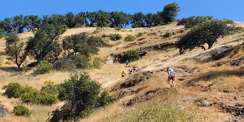Rim Rock 50m Trail Challenge 