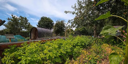Guided Heritage Tour of St Ann's Allotments