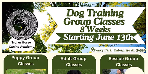 Group Dog Training Classes (8 Weeks)