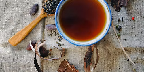 Seasonal Herbal Tea Making and Plant Wisdom