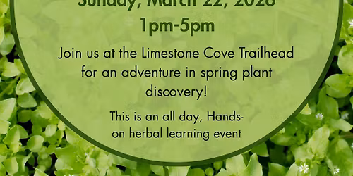 March Plant Walk: The Spring Awakening at Limestone Cove