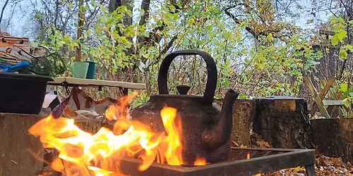 CHRISTMAS SPECIAL Froghoppers Family Saturdays 