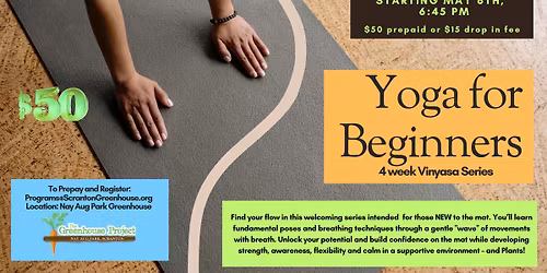Vinyasa Yoga for Beginners - 4 class series
