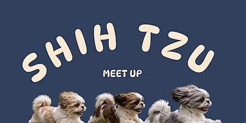 Sit. Stay. Shih Tzu.