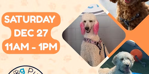 Poodles & Doodles Meetup