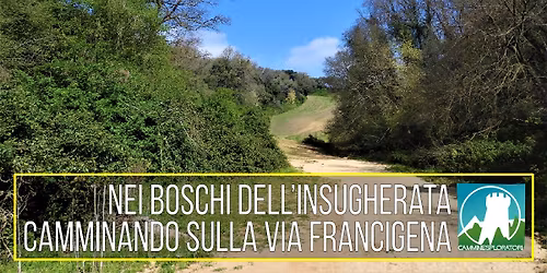 Nei Boschi dell\u2019Insugherata, camminando sulla Via Francigena